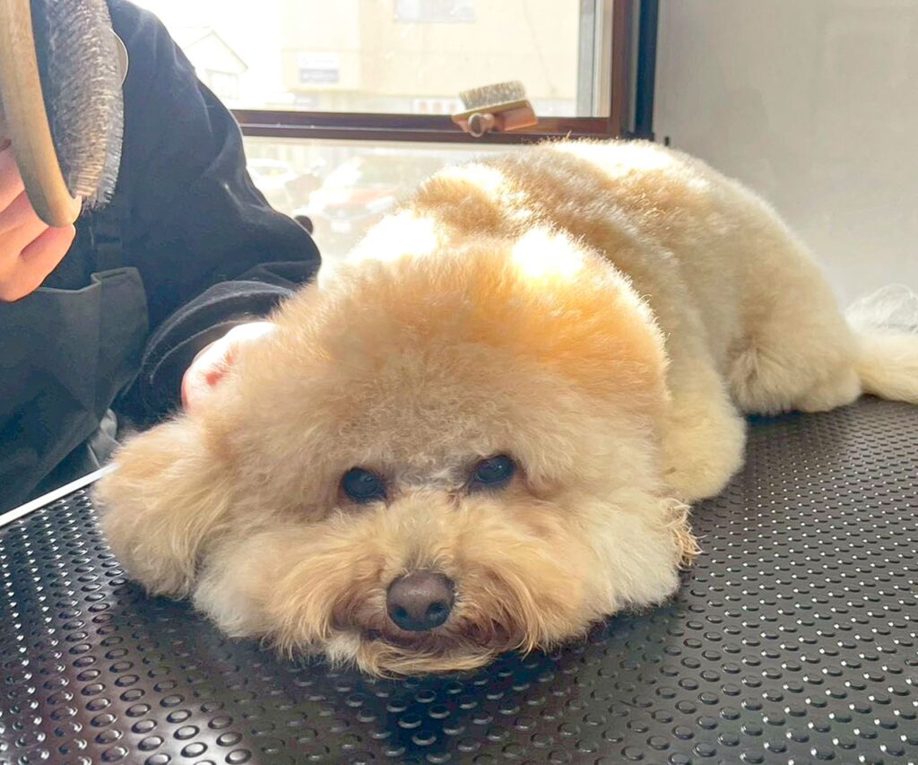 暮らしに寄り添ったお悩み相談