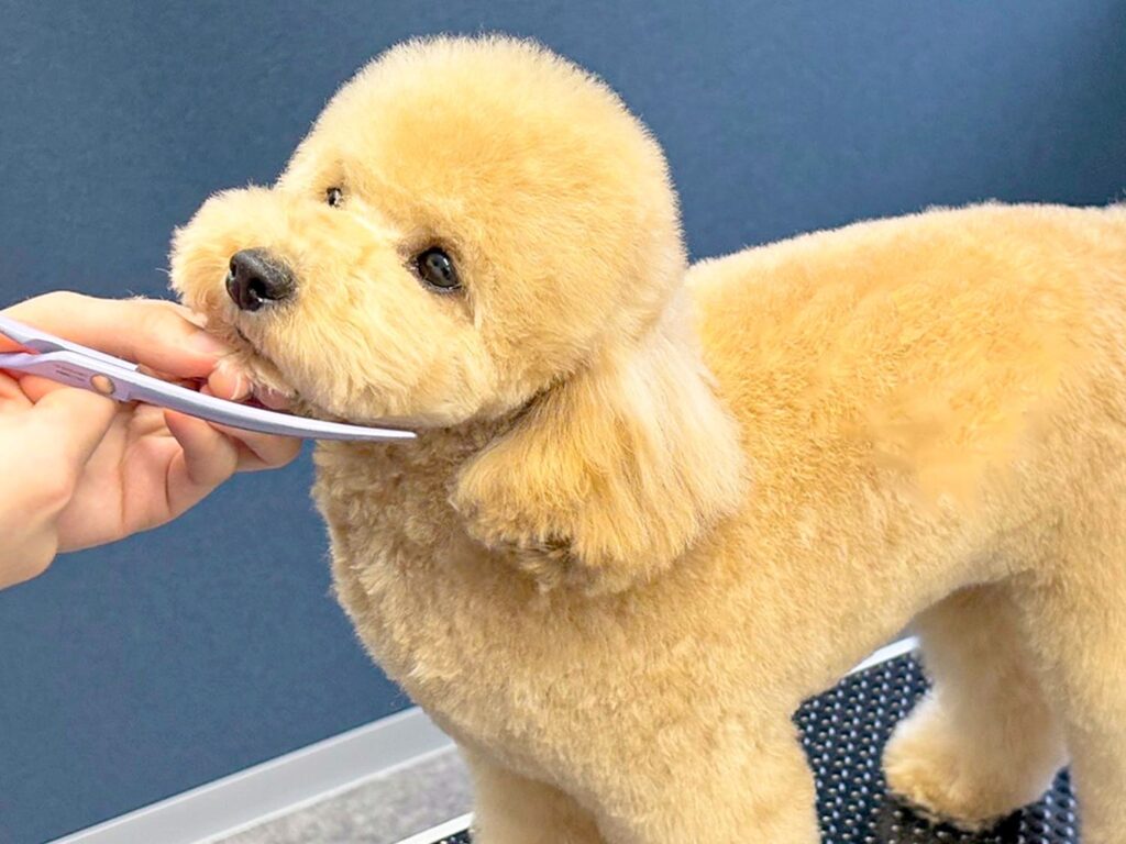 クイックメニュー